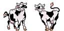 2vaches.jpg