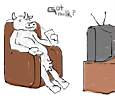 cow_TV.jpg