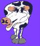 cow_smiles.gif
