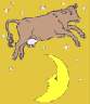 moonjump_cow.gif