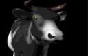nod_cow.gif