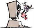 pc_cow.gif