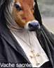 vache-sacree.jpg