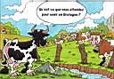 vaches_bretagne.jpg