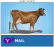 yahoo_cow.jpg