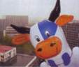 blowncow.jpg
