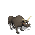bull.gif