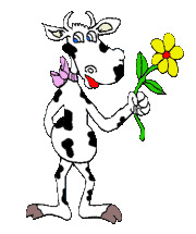 Kuh47.gif