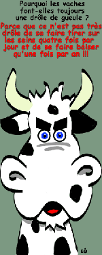 pourquoi, mais pourquoi ?