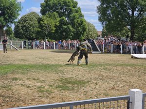les chiens de la Gendarmerie Nationale au CNICG
