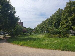 250807ilmenauberlin101.jpg