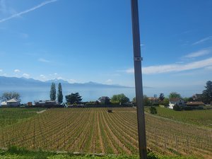 260418bologna005.jpg