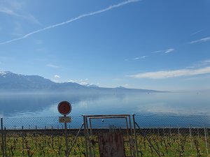 260418bologna014.jpg
