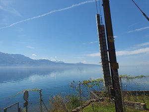 260418bologna015.jpg