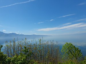 260418bologna018.jpg