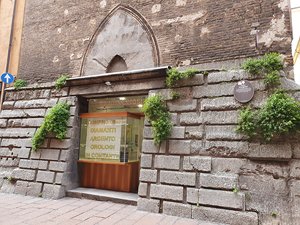 260422bologna207.jpg