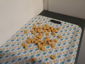 260422bologna244.jpg