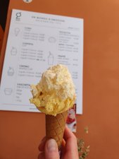 260423bologna289.jpg