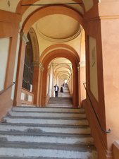 260424bologna345.jpg