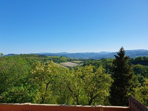 260424bologna353.jpg