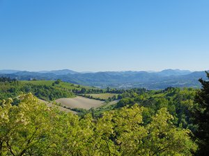 260424bologna354.jpg