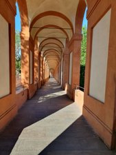 260424bologna365.jpg
