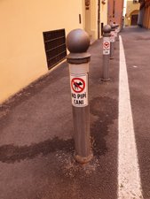 260425bologna385.jpg