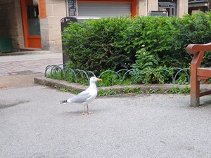 260513breizh014.jpg
