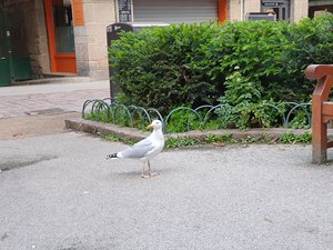 260513breizh015.jpg