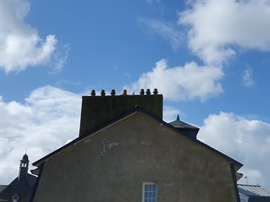 260514breizh022.jpg