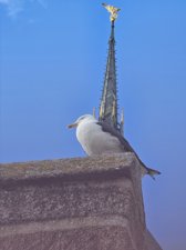 260514breizh097.jpg