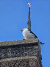 260514breizh098.jpg