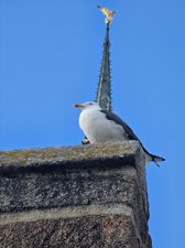 260514breizh099.jpg