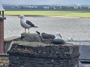 260514breizh107.jpg