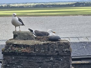 260514breizh109.jpg