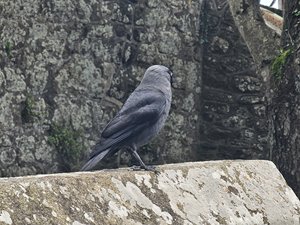260514breizh156.jpg