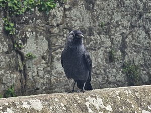 260514breizh157.jpg