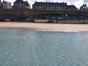 260515breizh248.jpg