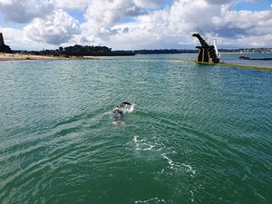 260515breizh255.jpg