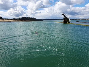 260515breizh256.jpg
