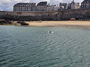 260515breizh259.jpg