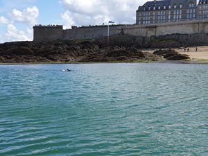 260515breizh261.jpg