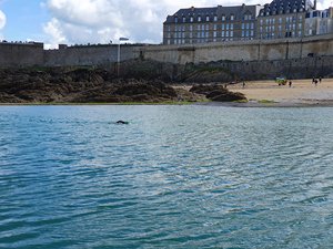 260515breizh262.jpg