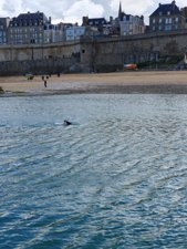 260515breizh165.jpg