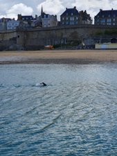 260515breizh265.jpg