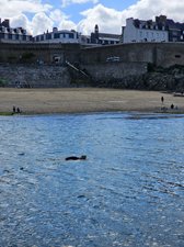 260515breizh266.jpg