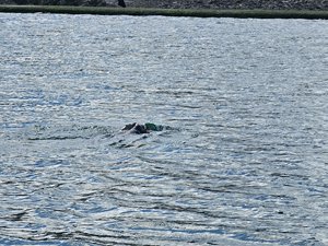 260515breizh268.jpg
