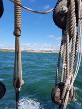 260515breizh394.jpg