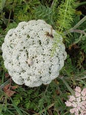 260516breizh466.jpg