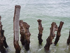 260516breizh524.jpg
